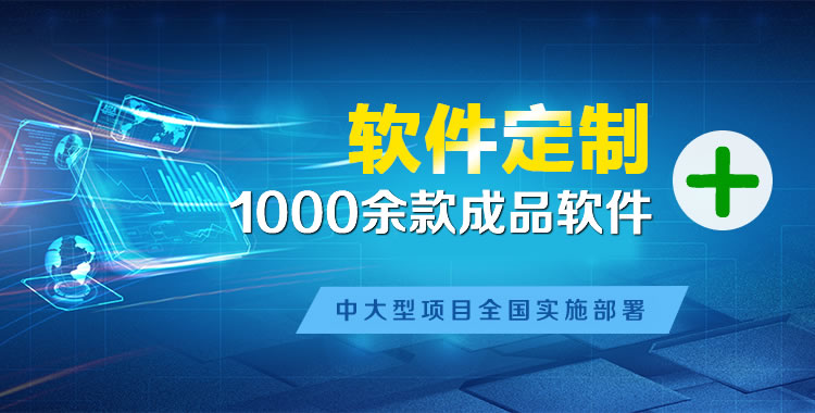 徐闻管理系统软件软件开发